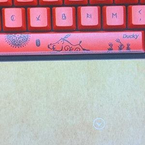 Meet your Posher, Angel